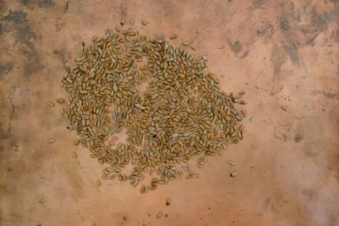 Bakır arka planda biraz buğday. Boşluğu kopyala.