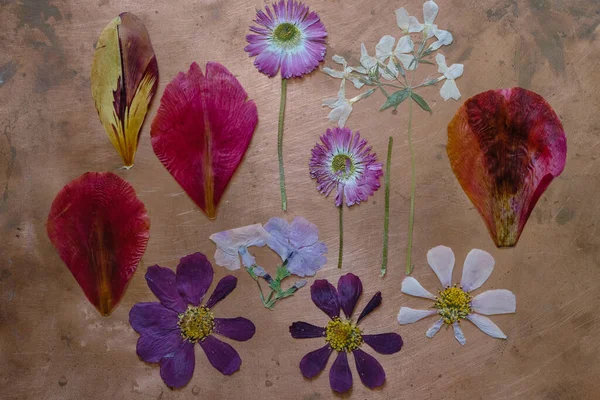 Dry flowers on a rough copper background. Mood board.