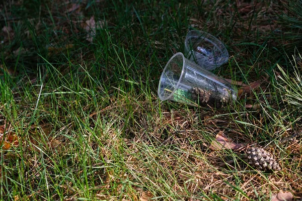 Kompostierbarer Biokunststoffbecher Auf Naturhintergrund Kunststofffrei Kopierraum — Stockfoto