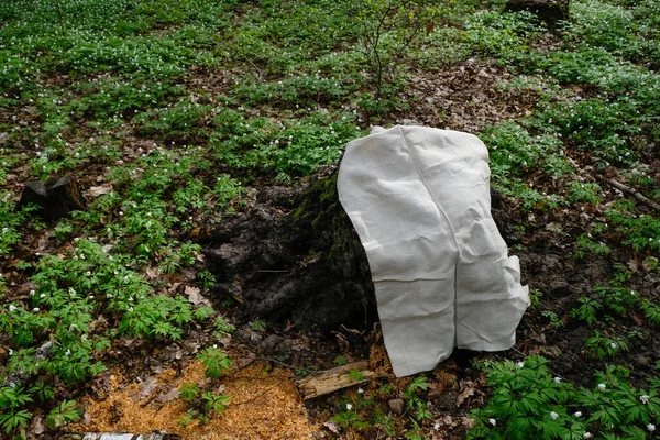 Hanfstoff Bedeckt Den Baumstumpf Umweltkonzept — Stockfoto