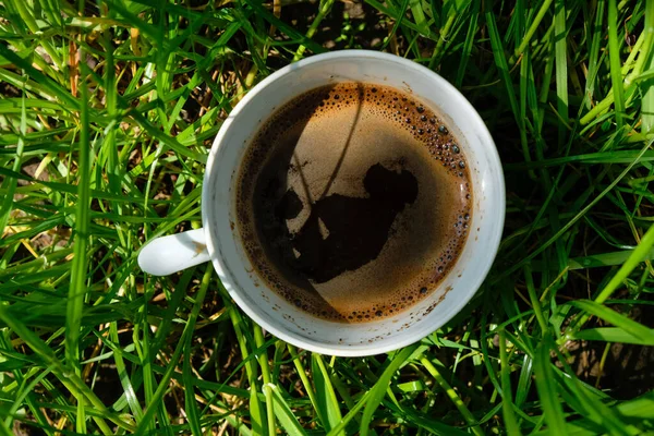 Güneşli bir sabahta yeşil bir çimenlikte kahve fincanı. Üst görünüm.