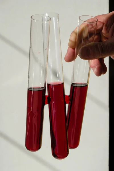 Three test tubes with red wine in the hand of a winemaker. Sunlight. Vertical image.