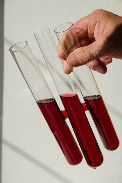 Test tubes with red wine in the hand of a winemaker. Sunlight. Vertical image.