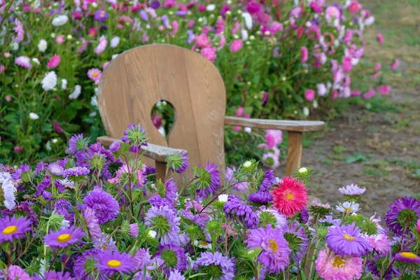 Campo Aster Uma Cadeira Madeira Artesanal Zona Fotográfica Parque Ucraniano — Fotografia de Stock