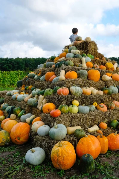 Slaměná Pyramida Zdobená Dýněmi Podzimním Veletrhu Ukrajině Dítě Sedí Vrcholu — Stock fotografie