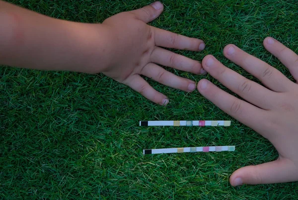 Test strips on the artificial grass. Children\'s hands. Acid-base balance concept.