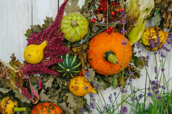 Composition Halloween Citrouilles Feuilles Chêne Lavande Amarante Baies Aubépine Sur — Photo