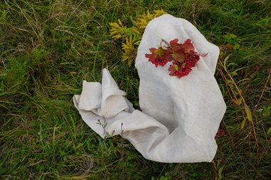 Sonbahar otlağında organik kenevir kumaşı ve kırmızı viburnum meyvesi. Doğal yaşam tarzı..