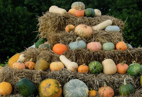 Tökök Szalmablokkok Piramisán Díszítés Halloweenre — Stock Fotó