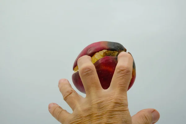 Çürük Elma Küf Küf Parmakları Açık Bir Insan Eli Bir — Stok fotoğraf