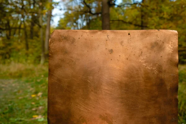 Leere Kupferplatte Auf Dem Hintergrund Des Eichenwaldes Naturschutzkonzept Unerwartetes Konzept — Stockfoto