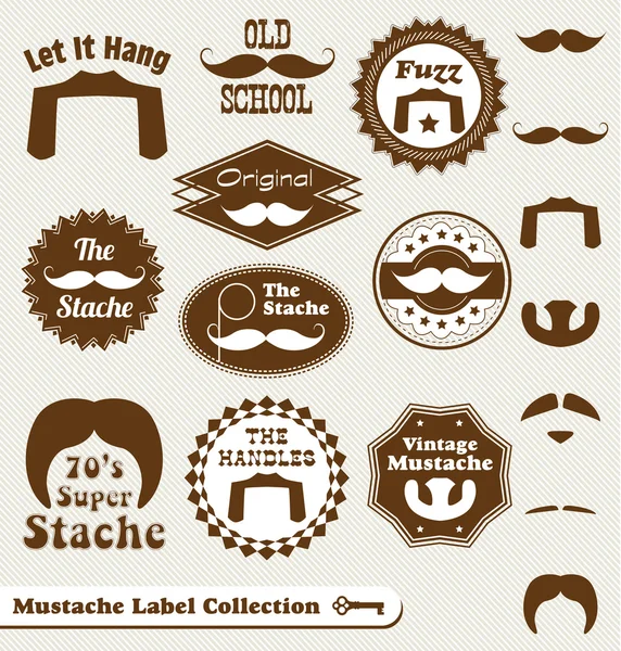 Collection vectorielle : Étiquettes de moustache et éléments de conception — Image vectorielle