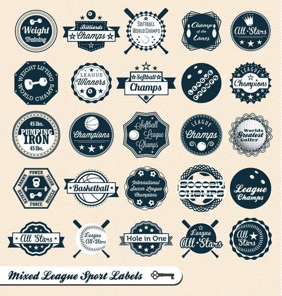 Vector Set: Mixed League Sport Labels and Logos — Stock Vector