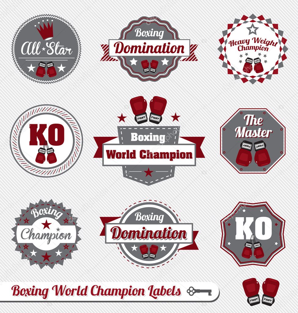 Vector Set: Boxing World Champion Labels and Icons