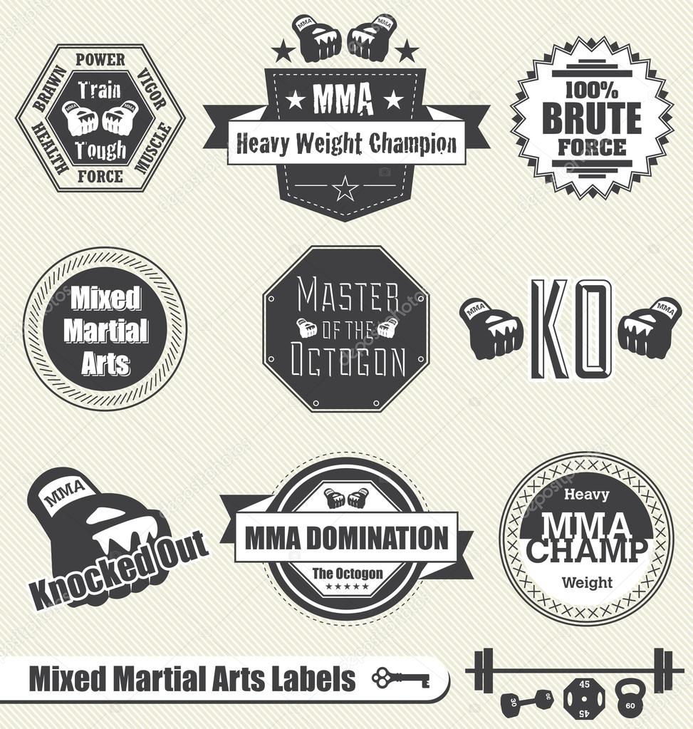 Vector Set: Mixed Marshal Arts Labels and Icons