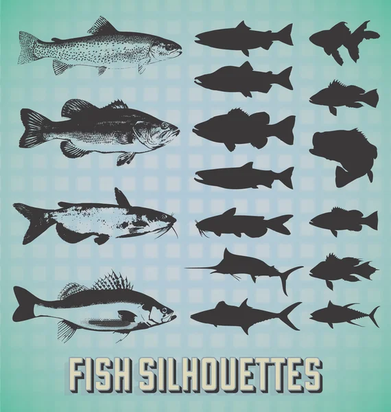 Conjunto de vectores: Siluetas de pescado — Vector de stock