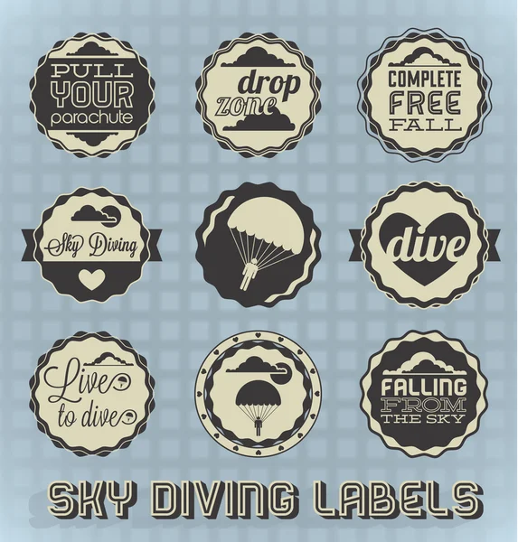 Vector Set: Vintage Sky Diving Labels and Icons — Stock Vector