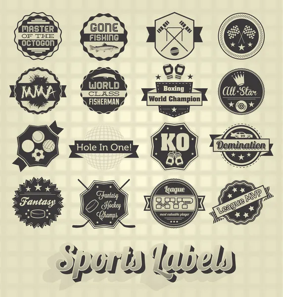 Conjunto de vectores: Etiquetas e iconos deportivos mixtos — Vector de stock