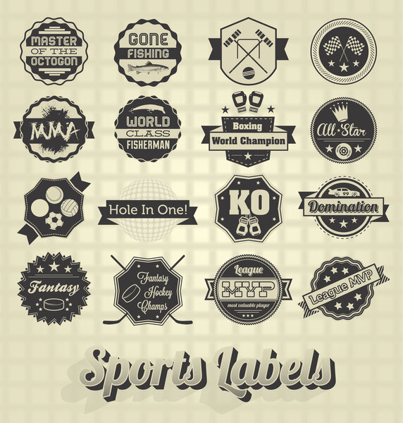 Vector Set: Mixed Sports Labels and Icons