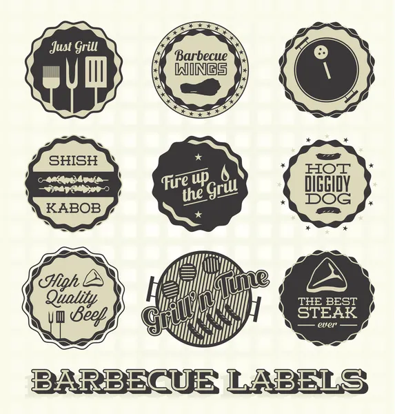 Set de Vectores: Etiquetas de Barbacoa Vintage e Iconos — Vector de stock