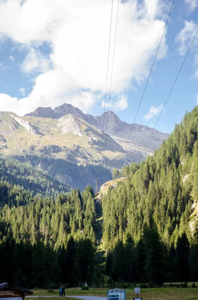 Belo Vale Ensolarado Alpes Italianos Verão Com Árvores Verdes Lago — Fotografia de Stock