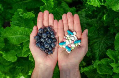 Taze yaban mersini ve beyaz haplar yeşil arka planda açık erkek avuçlarında bulunur. Sağlıklı gıda, hastalık ve tedaviyi seçme konusu