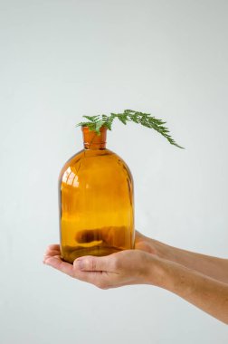 Beyaz arka planda taze eğrelti otu yaprağı olan şeffaf turuncu şişeyi tutan kadın eller.