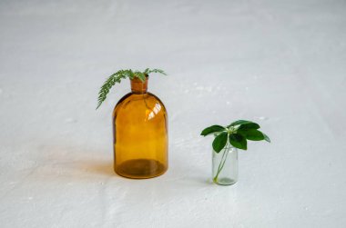 Tencere, turuncu ve şeffaf şişe içinde, beyaz bir yüzey üzerinde duran farklı türde ev bitkileri.