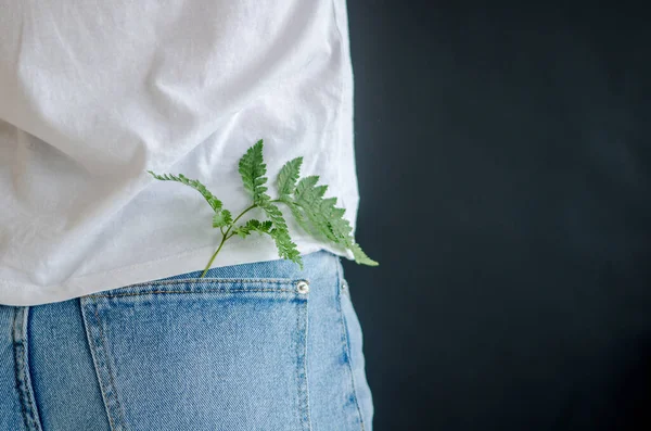 一个绿色蕨类植物的幼芽被放在一个穿着白衬衫的年轻女人的牛仔裤的后口袋里 放在一个黑色的背景上 — 图库照片