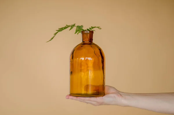 女性の手は茶色の背景に新鮮なシダの葉と透明なオレンジ色のボトルを保持します ミニマルなイメージ — ストック写真