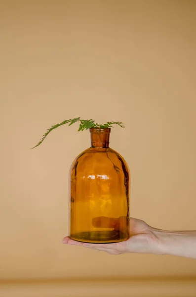 女性的手捧着透明的橙色瓶子 带有新鲜的蕨叶 背景为褐色 形象简约 — 图库照片