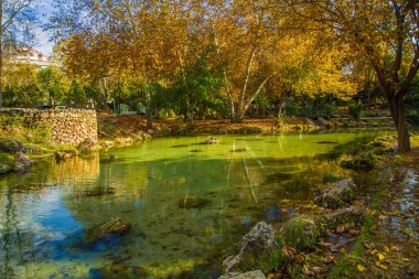 Ağaçlı ve kilolu sonbahar parkı
