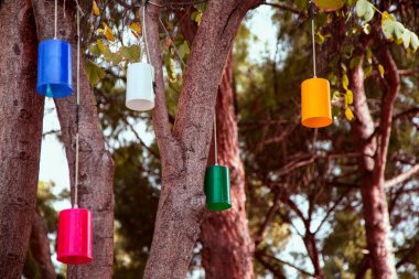 ağaç üzerinde renkli fenerler