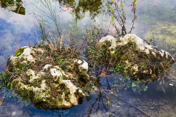 Two Rocks Pound Water — Stock Photo, Image