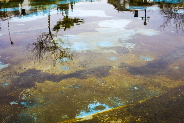 Dirty Water Pool Reflexed Clouds Trees — Stock Photo, Image