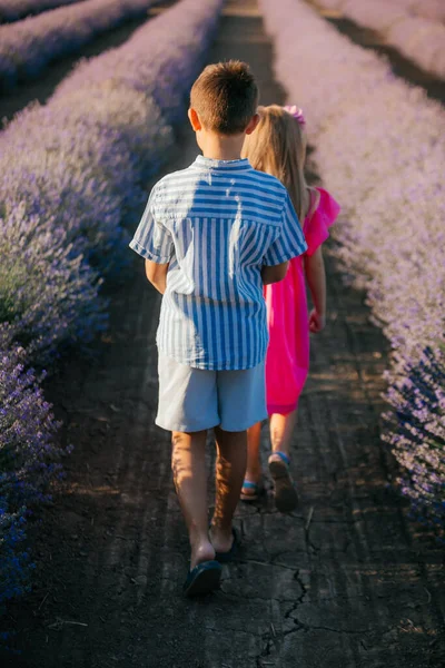 Una Chica Con Chico Caminando Campos Lavanda Verano Hermano Hermana — Foto de Stock