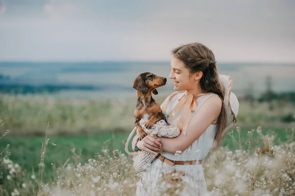 Piccolo Cucciolo Marrone Allevatori Bassotto Portata Mano Amico Mio — Foto Stock