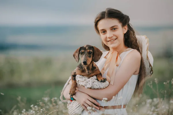 Pequeño Cachorro Marrón Dachshund Criadores Mano Amigo — Foto de Stock