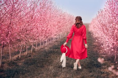 Kırmızı elbiseli ve kırmızı şapkalı bir kadın bahçede yürüyor. Doğada bir yürüyüş. Bahar tatili.