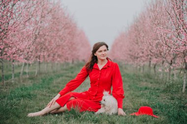 Bir kadın köpeğiyle çimlerin üzerinde oturuyor. Bahar bahçesi çiçek açıyor..