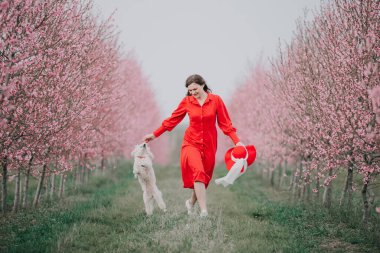 Bir kadın ve köpeği bahçede yürüyorlar. Ağaçlar çiçek açıyor. İlkbahar.