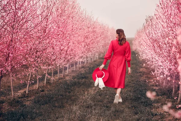 Zahradou Prochází Žena Červených Šatech Červeném Klobouku Procházka Přírodě Jarní — Stock fotografie