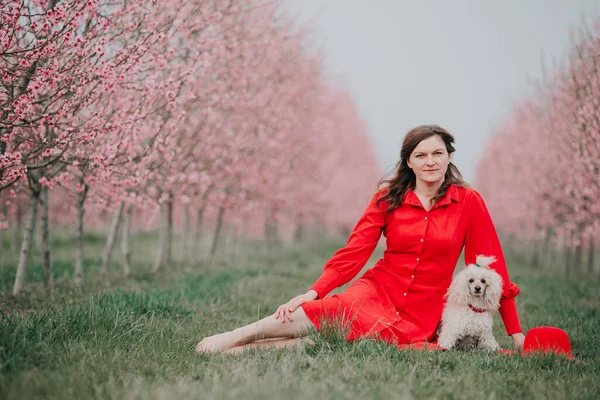Una Mujer Está Sentada Hierba Con Perro Jardín Primavera Está — Foto de Stock