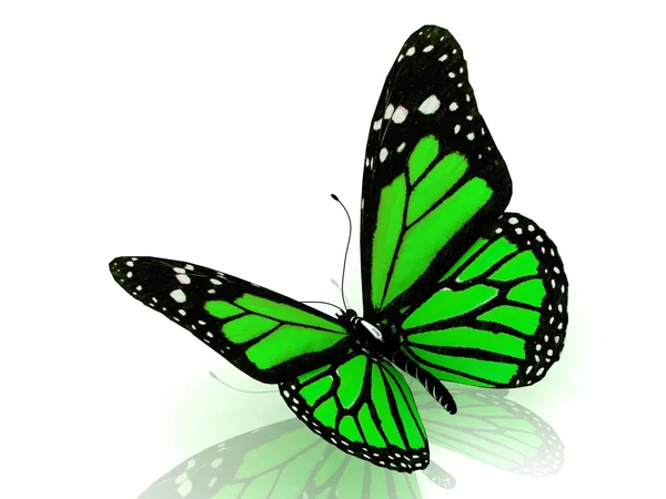 Beautiful green butterfly — Stock Photo, Image