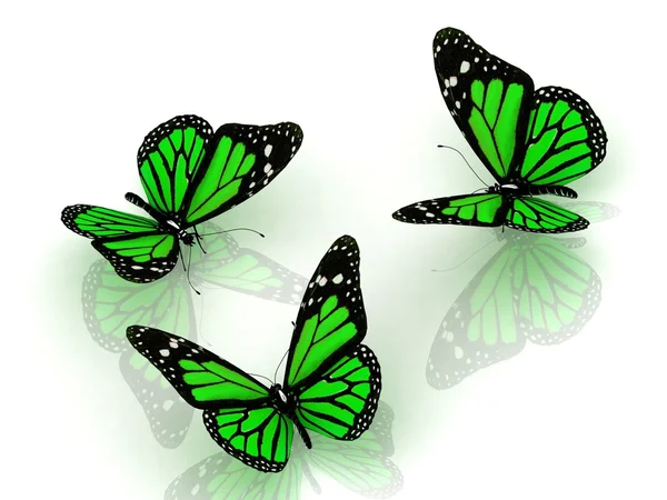 Tres hermosas mariposas verdes — Foto de Stock