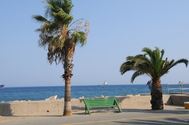 deniz hurma ile