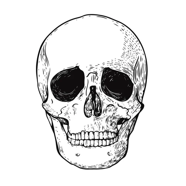 Scull de color negro dibujado a mano. Grabado estilo vector ilustración. — Archivo Imágenes Vectoriales