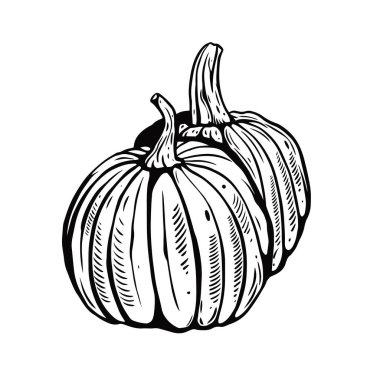 El çizimi siyah balkabağı. Kabartma biçimi.