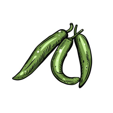 Yeşil biberli el renkli çizim. Özet biçimi.