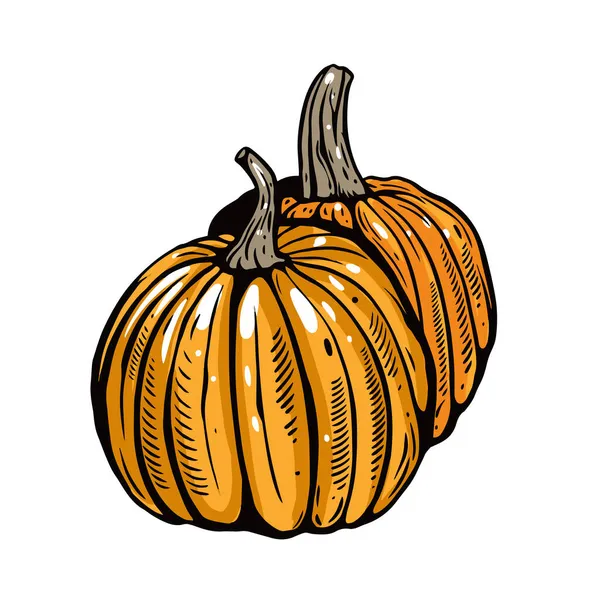 Estilo de contorno de calabaza. Dibujos animados vector colorido ilustración. — Archivo Imágenes Vectoriales